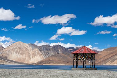 Pangong Lake, Ladakh, Hindistan