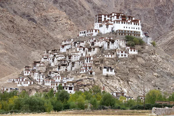 Chemdey gompa, Buddhist monastery in Ladakh, Jammu & Kashmir, India — Stock Photo, Image