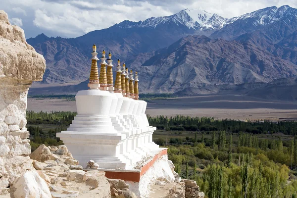 Chortens bouddhistes (stupa) et montagnes de l'Himalaya en arrière-plan près de Shey Palace au Ladakh, en Inde — Photo