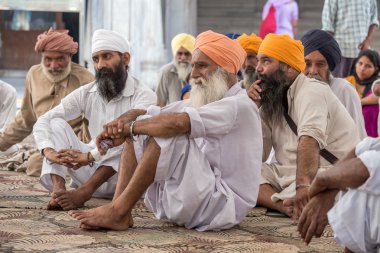 Amritsar, Pencap, Hindistan altın tapınağı ziyaret Sih erkek. 