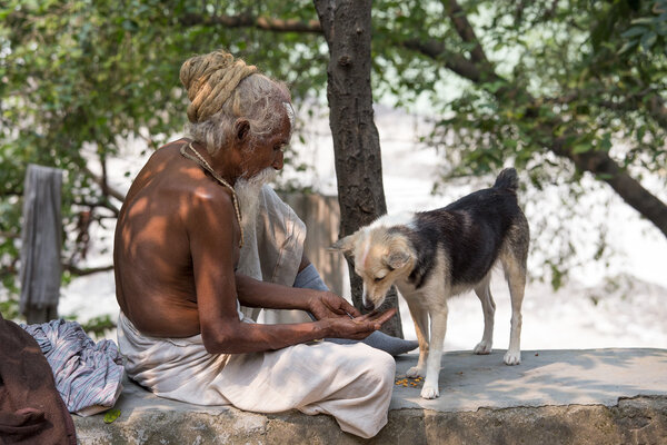 Indian people and dog sits on the ghat along the Ganges river. Rishikesh, India