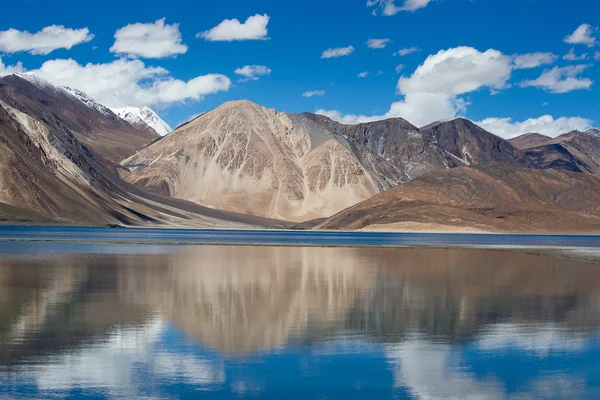 Lago Pangong, Ladakh, India —  Fotos de Stock