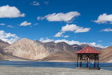 Pangong Lake, Ladakh, Hindistan