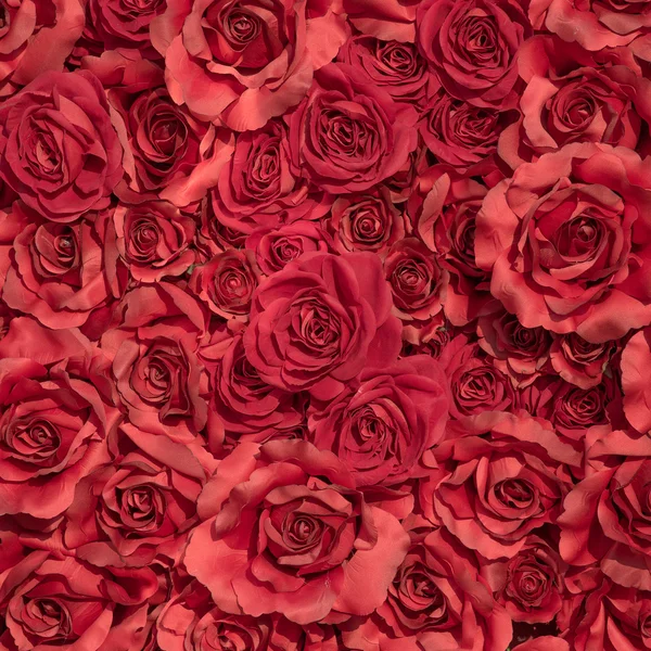 Red roses background — Stock Photo, Image