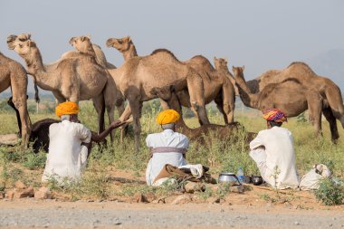 Hint erkekler yıllık Pushkar deve Mela katıldı. Bu adil değil dünyanın en büyük deve ticaret fuarı.
