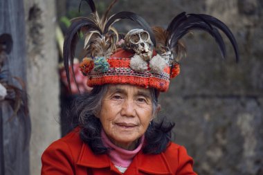Ifugao pirinç terasları Banaue, Filipinler yanında içinde ulusal kadın. 