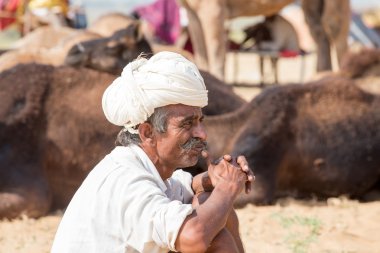 Hintli yıllık Pushkar deve Mela katıldı. Bu adil değil dünyanın en büyük deve ticaret fuarı.