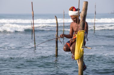 Kimliği belirsiz yerel balıkçılar benzersiz tarzı Balık tutma. Bu tür Balık tutma için Güney Sri Lanka Hint Okyanusu'nda geleneksel.