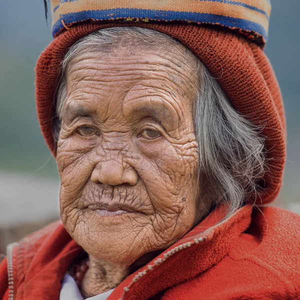 Vieja mujer ifugao en vestido nacional al lado de terrazas de arroz, Filipinas . —  Fotos de Stock