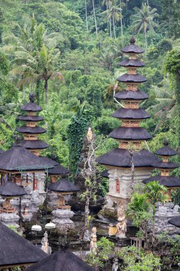 Hindu tapınağı, Ubud, Bali, Endonezya