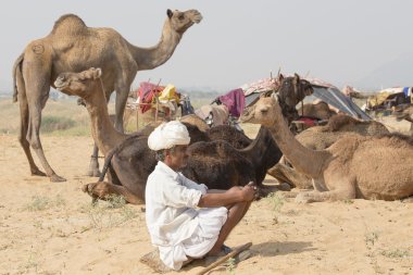 Hint göçebe yıllık Pushkar deve Mela katıldı