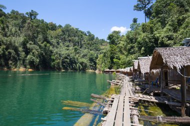 Güzel göl, Khao Sok Milli Parkı. Tayland.