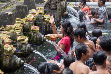 Bali dili aileler için kutsal yaylar su Tapınağı, Tirta Empul dua edip ruhlarının temizlemek için Bali, Endonezya gelir