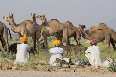 Hint üç erkek yıllık Pushkar deve Mela katıldı. Hindistan