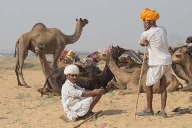 Hint göçebe yıllık Pushkar deve Mela katıldı