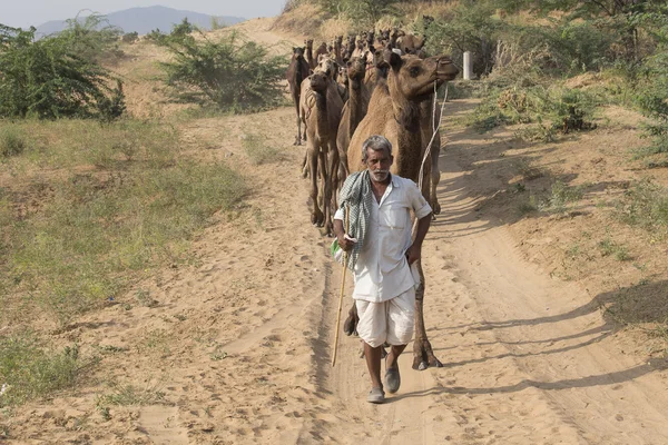 Nômade indiano participou do anual Pushkar Camel Mela — Fotografia de Stock