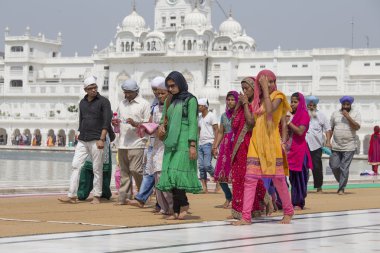 Amritsar 'daki Altın Tapınak, Punjab, Hindistan.