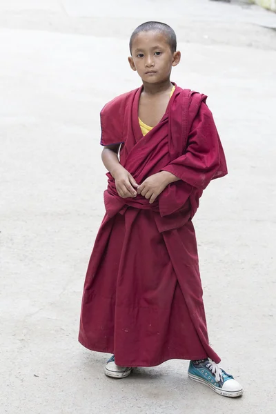 Junger buddhistischer Mönch aus Tibet, dharamsala, Indien — Stockfoto