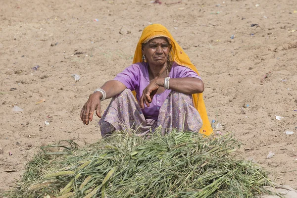 Porträt einer indischen Frau. pushkar, indien — Stockfoto
