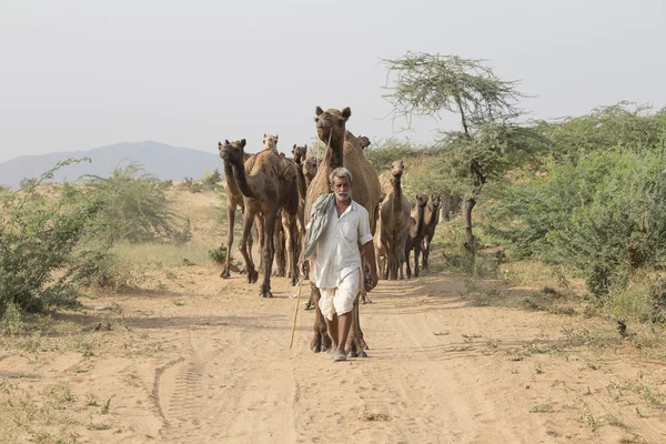 Indiska nomad deltog i den årliga Pushkar Camel Mela — Stockfoto