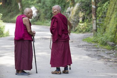 İki eski Tibetli Budist keşiş Dharamsala, Hindistan