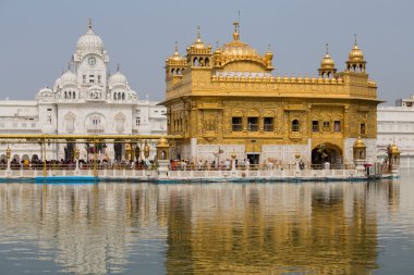Amritsar 'daki Altın Tapınak, Punjab, Hindistan.