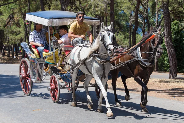 Phaeton in Prince Island Buyukada . Turkey Stock Image