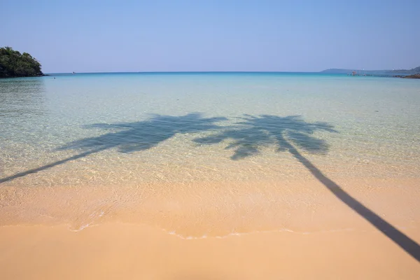 Due palme da cocco ombra sulla spiaggia tropicale — Foto Stock