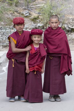 Tibetan Buddhist young monk in Hemis monastery, Ladakh, North India
