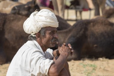 Hint göçebe yıllık Pushkar deve Mela katıldı