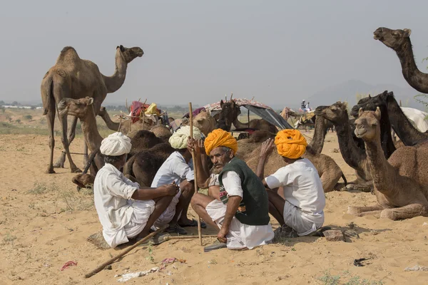 Indické nomad zúčastnil každoroční Mela Camel Pushkar — Stock fotografie