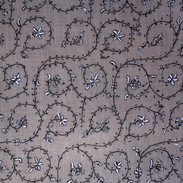 Exemple de motif paisley traditionnel Cachemire pashmina — 图库照片