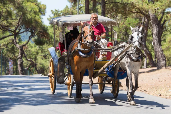 Phaeton in Prince Island buyukada. Truthahn — Stockfoto