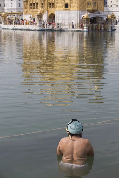 Hombre sij visitando el Templo de Oro en Amritsar, Punjab, India . —  Fotos de Stock