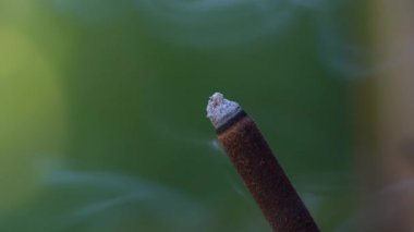 Tütsü çubuğu dumanla yanıyor, yaklaşın. Bali Adası, Ubud, Endonezya