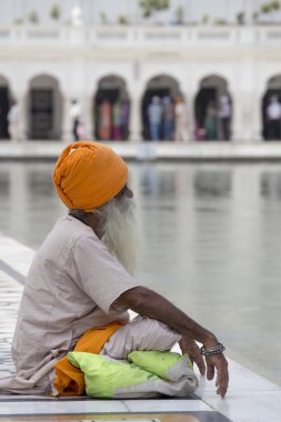 Amritsar, Pencap, Hindistan altın tapınağı ziyaret Sih adam.