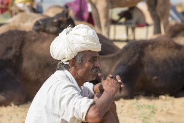 Pushkar portre Hintli adam. Hindistan