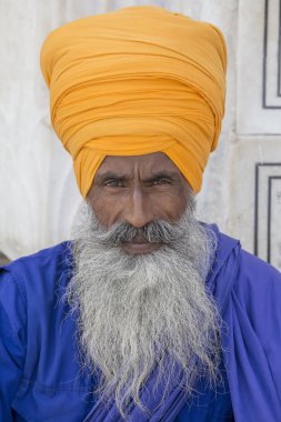 Portre gür sakallı Türban Hint Sih adam. Amritsar, Hindistan