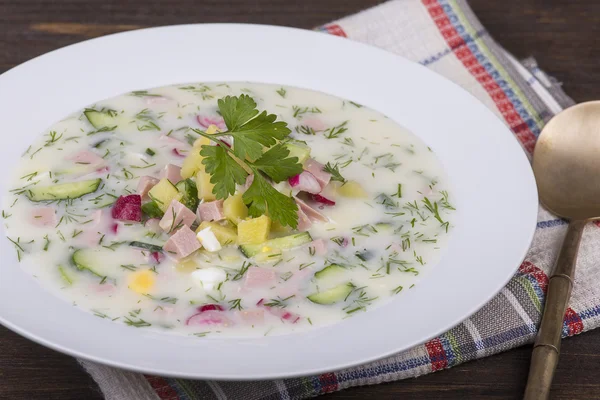 Sopa vegetal fria em iogurte, base de leite azedo - okroshka — Fotografia de Stock