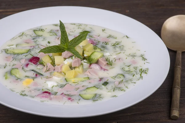 Kalte Gemüsesuppe auf Joghurt, Sauermilchbasis - okroshka — Stockfoto