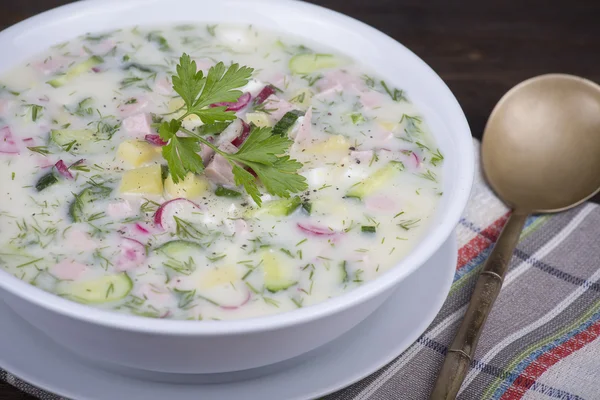 Kall grönsakssoppa på yoghurt, creme-mjölk base - okroshka — Stockfoto