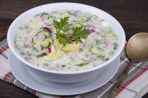 Cold vegetable soup on yogurt, sour-milk base - okroshka — Stock Image Cold vegetable soup on yogurt, sour-milk base - okroshka Stock Image