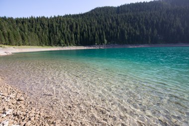 Black Lake , Crno jezero. Durmitor, National Park in Montenegro