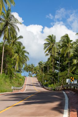 Asfalt yol ve Hindistan cevizi hurma ağacı adası Koh Phangan, Tayland