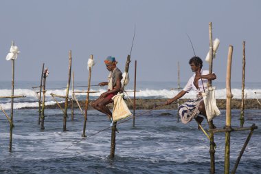  Yerel balıkçılar deniz suda balık tutma. Sri Lanka 