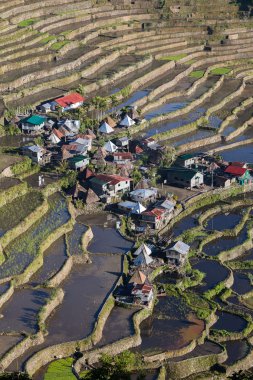 Dünya Mirası pirinç terasları Batad, Kuzey Luzon, Ifugao il Filipinler.