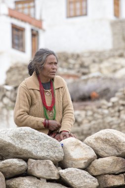 Hintli kadın portre. Leh, Hindistan