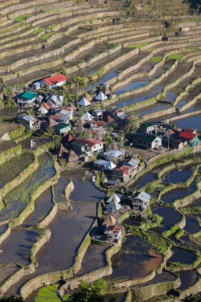 Wereld erfgoed rijstterrassen in Batad, noordelijke Luzon, Ifugao op het eiland provincie Filippijnen. — Stockfoto