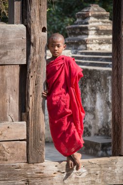 Bir manastırda genç bir keşiş portresi. Mandalay, Myanmar