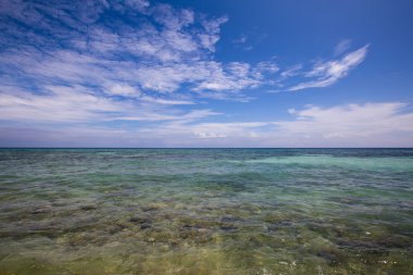 oslob, Filipinler güzel tropikal plaj.